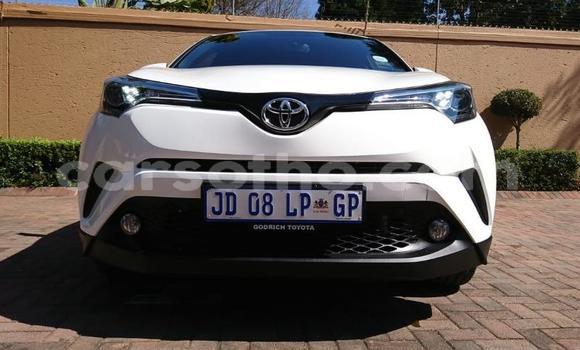 Acheter Occasion Voiture Toyota C-HR Blanc à Maseru, Maseru Acheter Occasion Voiture Toyota C-HR Blanc à Maseru, Maseru