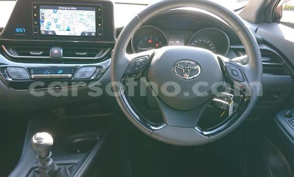 Acheter Occasion Voiture Toyota C-HR Blanc à Maseru, Maseru Acheter Occasion Voiture Toyota C-HR Blanc à Maseru, Maseru