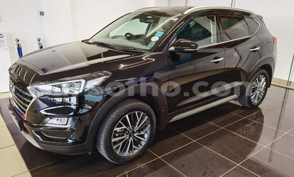 Acheter Occasion Voiture Hyundai Tucson Noir à Maputsoe, Leribe Acheter Occasion Voiture Hyundai Tucson Noir à Maputsoe, Leribe