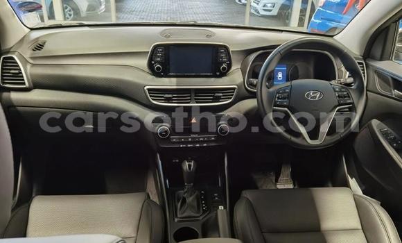 Acheter Occasion Voiture Hyundai Tucson Noir à Maputsoe, Leribe Acheter Occasion Voiture Hyundai Tucson Noir à Maputsoe, Leribe