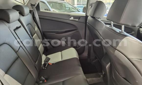 Acheter Occasion Voiture Hyundai Tucson Noir à Maputsoe, Leribe Acheter Occasion Voiture Hyundai Tucson Noir à Maputsoe, Leribe