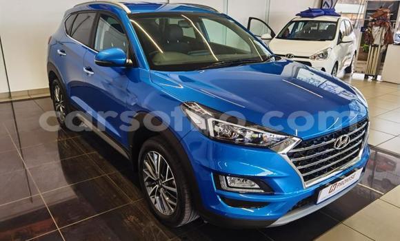 Acheter Occasion Voiture Hyundai Tuscani Bleu à Mohale's Hoek, Mohale's Hoek Acheter Occasion Voiture Hyundai Tuscani Bleu à Mohale's Hoek, Mohale's Hoek