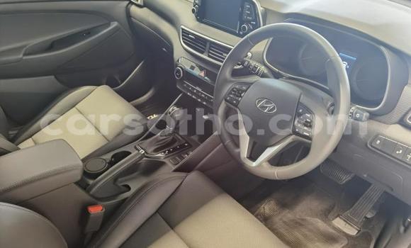 Acheter Occasion Voiture Hyundai Tuscani Bleu à Mohale's Hoek, Mohale's Hoek Acheter Occasion Voiture Hyundai Tuscani Bleu à Mohale's Hoek, Mohale's Hoek