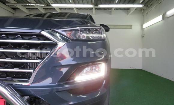 Acheter Occasion Voiture Hyundai Tucson Autre à Maseru, Maseru Acheter Occasion Voiture Hyundai Tucson Autre à Maseru, Maseru