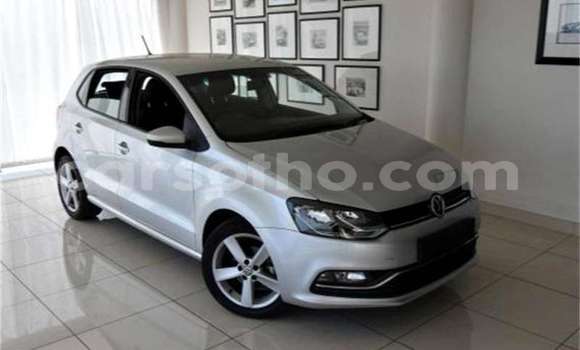 Buy Used Volkswagen Polo Silver Car in Maputsoe in Leribe Buy Used Volkswagen Polo Silver Car in Maputsoe in Leribe