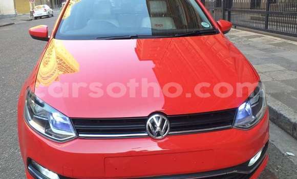 Buy Used Volkswagen Polo Red Car in Maseru in Maseru Buy Used Volkswagen Polo Red Car in Maseru in Maseru