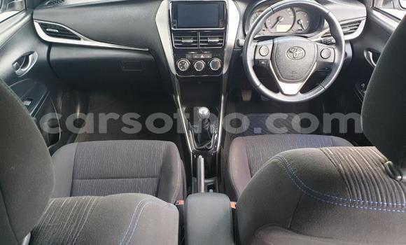 Buy Used Toyota Yaris Green Car in Maseru in Maseru Buy Used Toyota Yaris Green Car in Maseru in Maseru