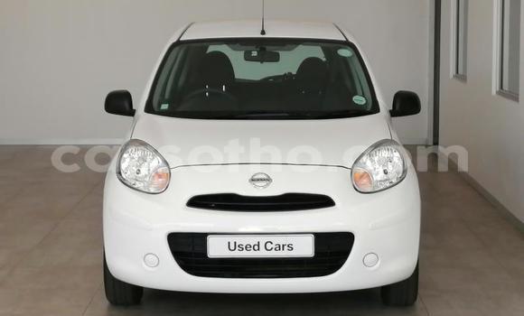 Buy Used Nissan Micra Black Car in Maseru in Maseru Buy Used Nissan Micra Black Car in Maseru in Maseru