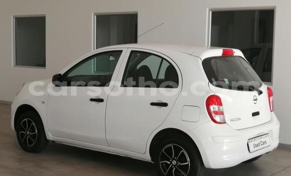 Buy Used Nissan Micra Black Car in Maseru in Maseru Buy Used Nissan Micra Black Car in Maseru in Maseru
