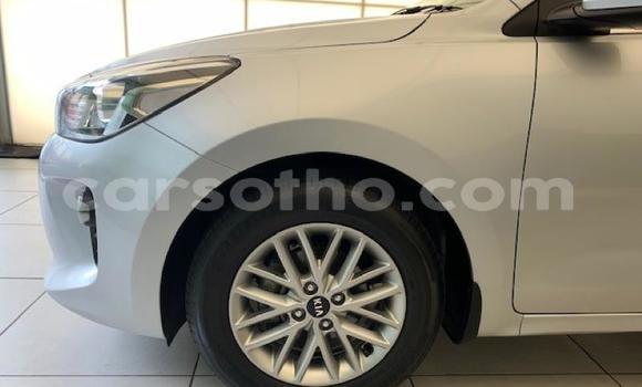Buy Used Kia Rio Red Car in Maseru in Maseru Buy Used Kia Rio Red Car in Maseru in Maseru