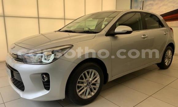Buy Used Kia Rio Red Car in Maseru in Maseru Buy Used Kia Rio Red Car in Maseru in Maseru
