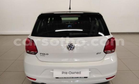 Buy Used Volkswagen Polo Green Car in Maseru in Maseru Buy Used Volkswagen Polo Green Car in Maseru in Maseru