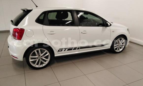 Buy Used Volkswagen Polo Green Car in Maseru in Maseru Buy Used Volkswagen Polo Green Car in Maseru in Maseru