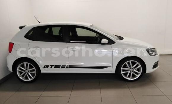 Buy Used Volkswagen Polo Green Car in Maseru in Maseru Buy Used Volkswagen Polo Green Car in Maseru in Maseru