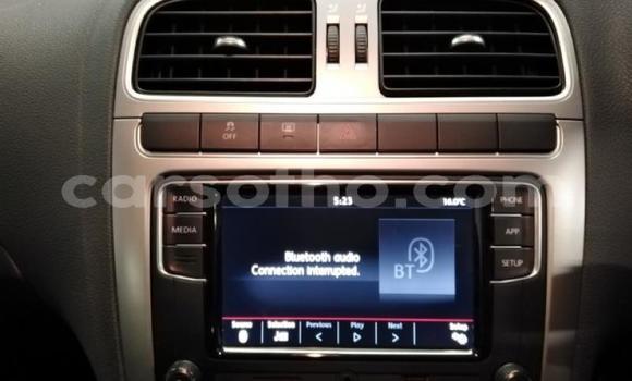 Buy Used Volkswagen Polo Green Car in Maseru in Maseru Buy Used Volkswagen Polo Green Car in Maseru in Maseru