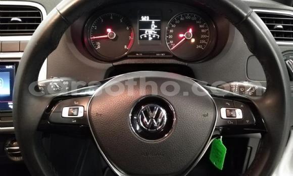 Buy Used Volkswagen Polo Green Car in Maseru in Maseru Buy Used Volkswagen Polo Green Car in Maseru in Maseru