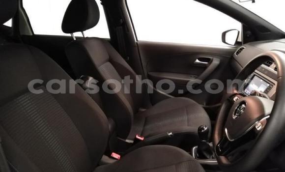 Buy Used Volkswagen Polo Green Car in Maseru in Maseru Buy Used Volkswagen Polo Green Car in Maseru in Maseru