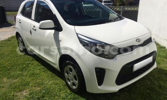Buy Used Kia Picanto Green Car in Maseru in Maseru Buy Used Kia Picanto Green Car in Maseru in Maseru