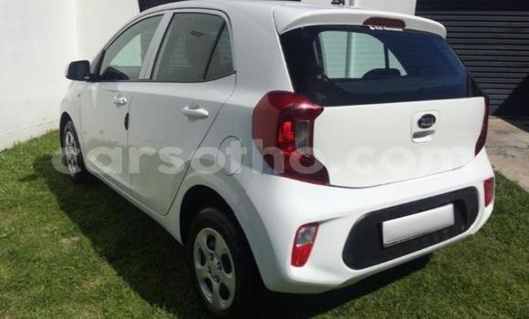 Buy Used Kia Picanto Green Car in Maseru in Maseru Buy Used Kia Picanto Green Car in Maseru in Maseru