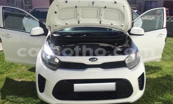 Buy Used Kia Picanto Green Car in Maseru in Maseru Buy Used Kia Picanto Green Car in Maseru in Maseru