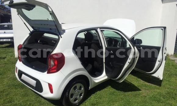 Buy Used Kia Picanto Green Car in Maseru in Maseru Buy Used Kia Picanto Green Car in Maseru in Maseru