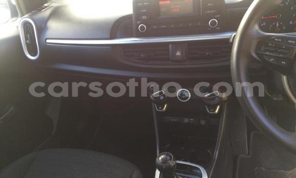 Buy Used Kia Picanto Green Car in Maseru in Maseru Buy Used Kia Picanto Green Car in Maseru in Maseru