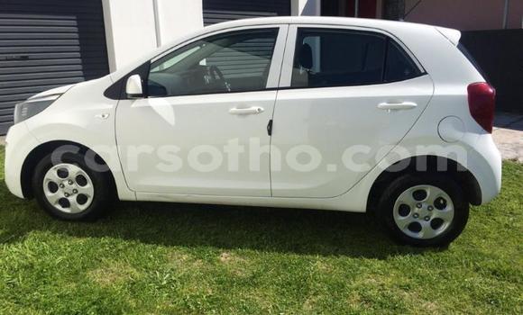 Buy Used Kia Picanto Green Car in Maseru in Maseru Buy Used Kia Picanto Green Car in Maseru in Maseru