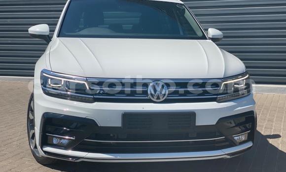 Buy Used Volkswagen Tiguan Green Car in Maseru in Maseru Buy Used Volkswagen Tiguan Green Car in Maseru in Maseru