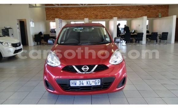 Buy Used Nissan Micra Red Car in Maseru in Maseru Buy Used Nissan Micra Red Car in Maseru in Maseru