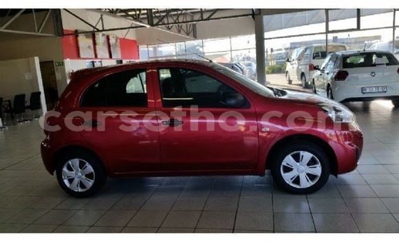 Buy Used Nissan Micra Red Car in Maseru in Maseru Buy Used Nissan Micra Red Car in Maseru in Maseru