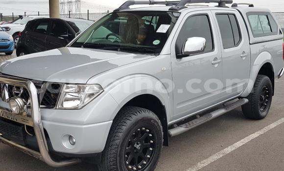 Buy Used Nissan Navara Silver Car in Maseru in Maseru Buy Used Nissan Navara Silver Car in Maseru in Maseru