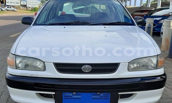 Sayi Na hannu Toyota Corolla White Mota in Maputsoa a Leribe Sayi Na hannu Toyota Corolla White Mota in Maputsoa a Leribe