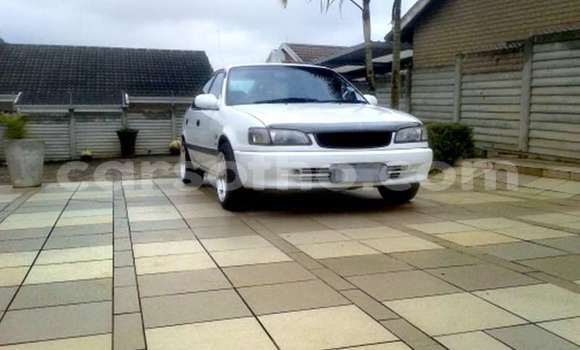 Buy Used Toyota Corolla White Car in Maputsoe in Leribe Buy Used Toyota Corolla White Car in Maputsoe in Leribe