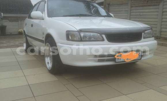 Buy Used Toyota Corolla White Car in Maputsoe in Leribe Buy Used Toyota Corolla White Car in Maputsoe in Leribe
