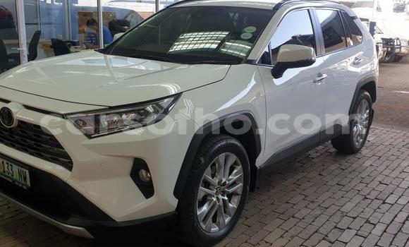Acheter Occasion Voiture Toyota RAV4 Blanc à Maseru, Maseru Acheter Occasion Voiture Toyota RAV4 Blanc à Maseru, Maseru