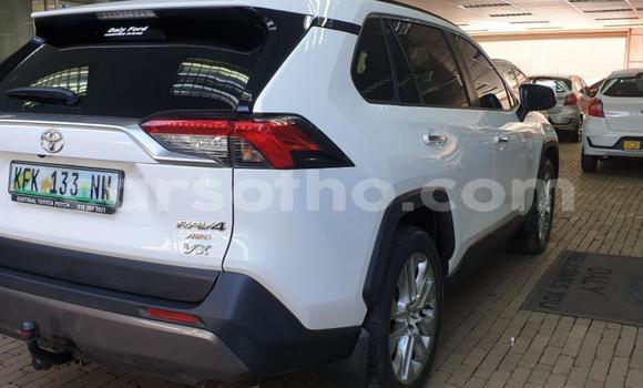 Acheter Occasion Voiture Toyota RAV4 Blanc à Maseru, Maseru Acheter Occasion Voiture Toyota RAV4 Blanc à Maseru, Maseru