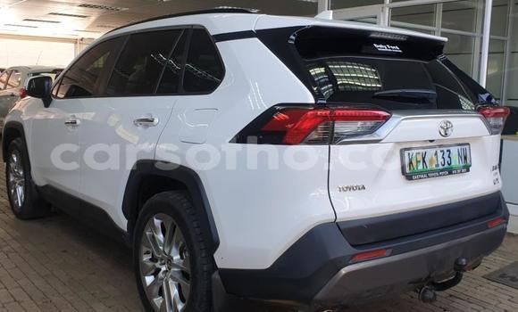 Acheter Occasion Voiture Toyota RAV4 Blanc à Maseru, Maseru Acheter Occasion Voiture Toyota RAV4 Blanc à Maseru, Maseru
