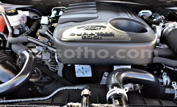 Buy Used Ford Ranger White Car in Maseru in Maseru Buy Used Ford Ranger White Car in Maseru in Maseru