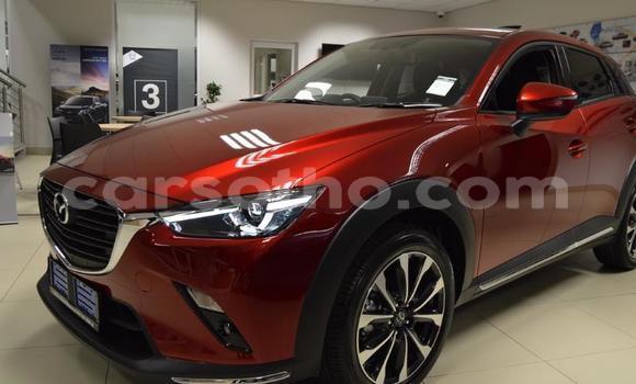 Buy Used Mazda CX-3 Red Car in Maseru in Maseru Buy Used Mazda CX-3 Red Car in Maseru in Maseru