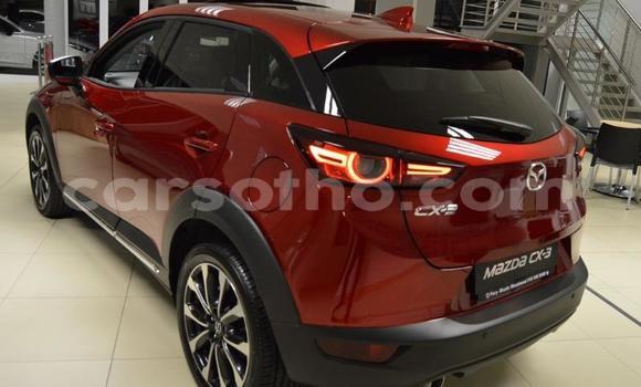 Buy Used Mazda CX-3 Red Car in Maseru in Maseru Buy Used Mazda CX-3 Red Car in Maseru in Maseru