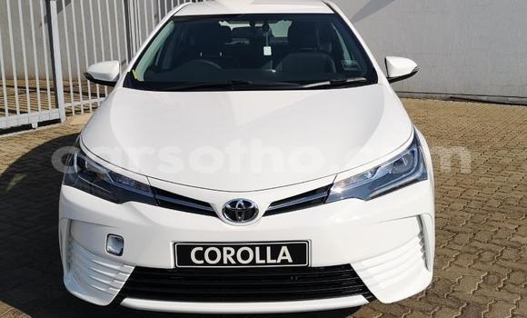 Acheter Occasion Voiture Toyota Corolla Blanc à Maseru, Maseru Acheter Occasion Voiture Toyota Corolla Blanc à Maseru, Maseru