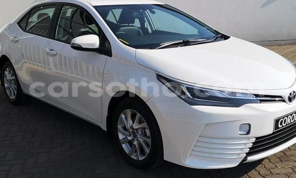 Acheter Occasion Voiture Toyota Corolla Blanc à Maseru, Maseru Acheter Occasion Voiture Toyota Corolla Blanc à Maseru, Maseru