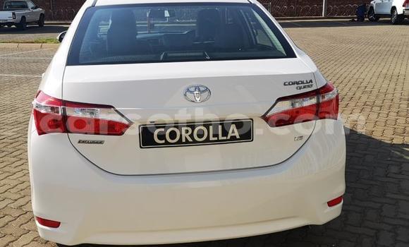 Acheter Occasion Voiture Toyota Corolla Blanc à Maseru, Maseru Acheter Occasion Voiture Toyota Corolla Blanc à Maseru, Maseru