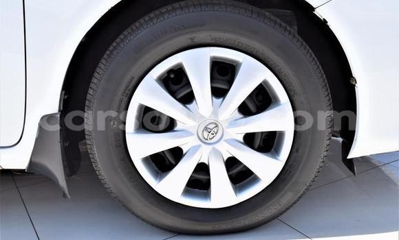 Buy Used Toyota Corolla White Car in Maseru in Maseru Buy Used Toyota Corolla White Car in Maseru in Maseru