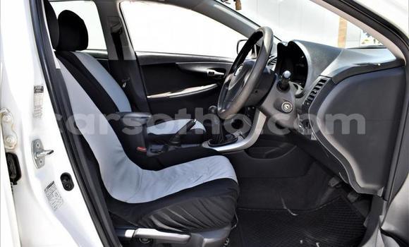 Buy Used Toyota Corolla White Car in Maseru in Maseru Buy Used Toyota Corolla White Car in Maseru in Maseru