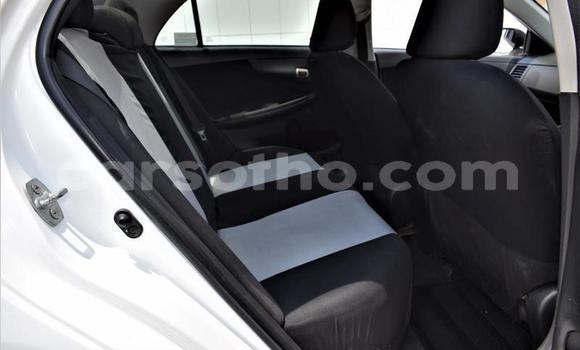 Buy Used Toyota Corolla White Car in Maseru in Maseru Buy Used Toyota Corolla White Car in Maseru in Maseru
