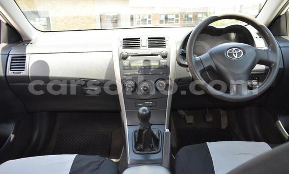 Buy Used Toyota Corolla White Car in Maseru in Maseru Buy Used Toyota Corolla White Car in Maseru in Maseru