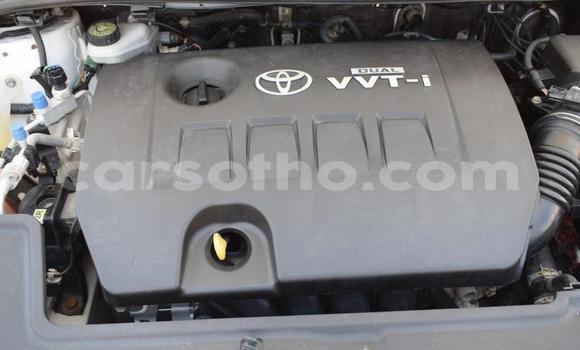 Buy Used Toyota Corolla White Car in Maseru in Maseru Buy Used Toyota Corolla White Car in Maseru in Maseru