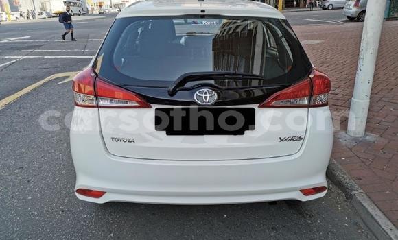 Buy Used Toyota Yaris Silver Car in Maseru in Maseru Buy Used Toyota Yaris Silver Car in Maseru in Maseru