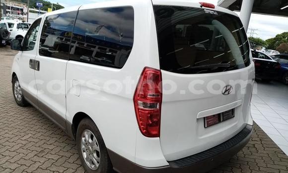 Buy Used Hyundai H1 White Car in Maseru in Maseru Buy Used Hyundai H1 White Car in Maseru in Maseru